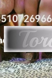 Escort Calda Ragazza Venezia