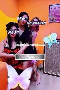 Transex Cesano Milano