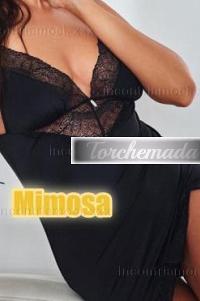 Escort Bellissima Attrice Bergamo
