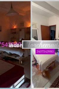 Escort Felina Studentessa Rimini