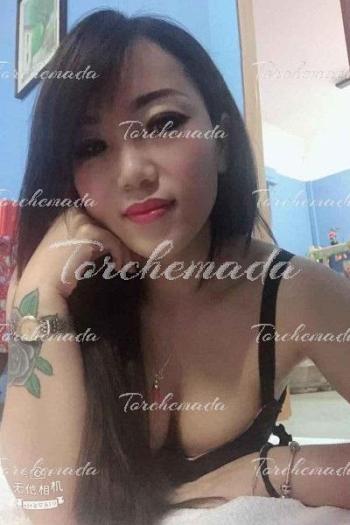 Cerco Donna Girl Escort Sicilia Numero Cellulare Escort Orientali Firenze Cerco Donna Girl Escort Sicilia Numero Cellulare Escort Orientali Firenze