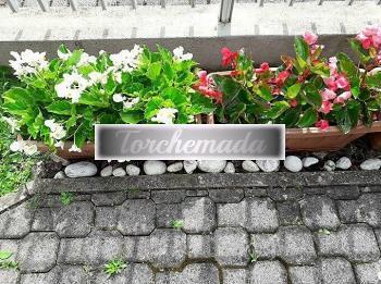 Girl Vogliosa Esibizionista  Padova