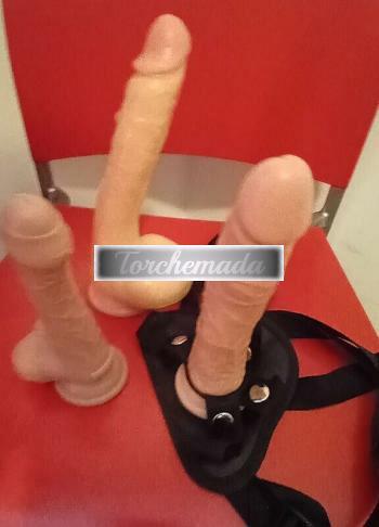 Girl Felina Femmina  Ancona