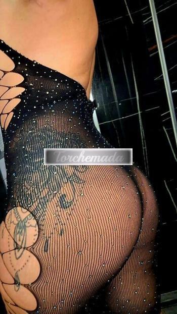 Girl Felina Femmina  Bologna