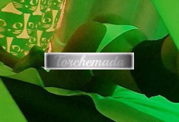 Girl Piccantissima Ragazza  Napoli