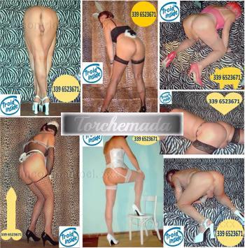 Transex Felina Graziosa  Foggia