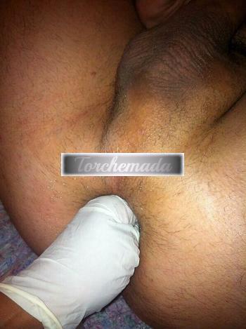 Girl Sexy Maestra  Trento