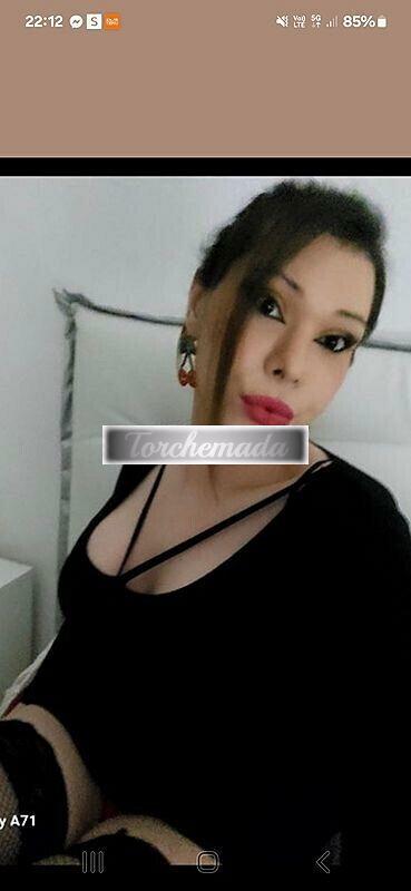 Girl Felina Ragazza  Palermo