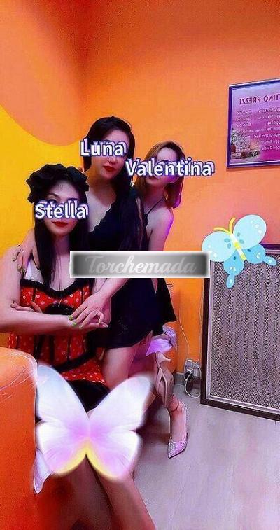 Transex Cesano  Milano