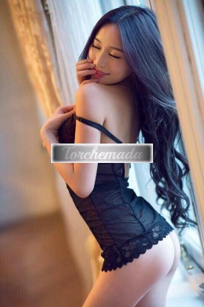 Transex Gioia  Pavia