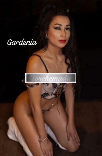 Girl Trasgressiva Bambola  Palermo