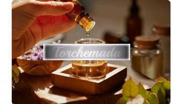 Girl Felina Studentessa  Lucca