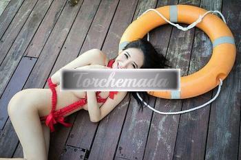 Transex Viola  Bologna