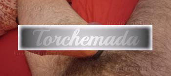 Girl Felina Coinvolgente  Torino