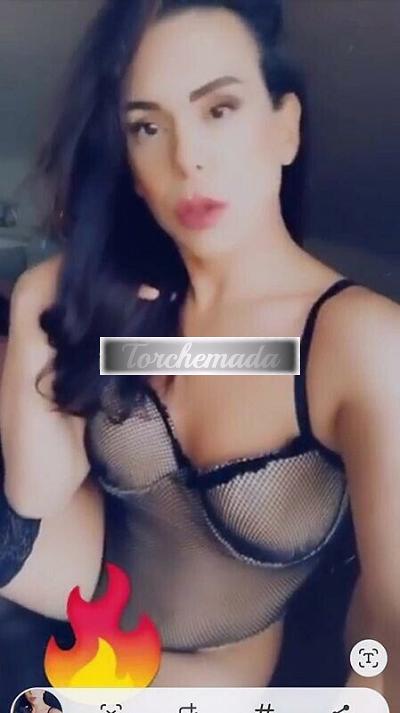 Girl Felina Ragazza  Ancona