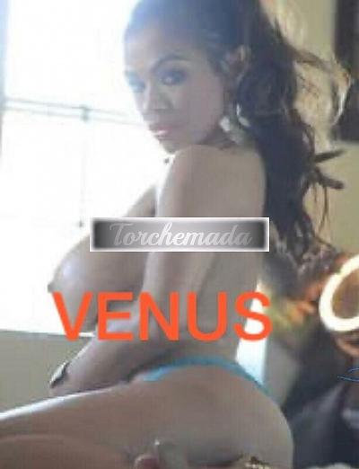 Girl Spettacolare Ragazza  Padova