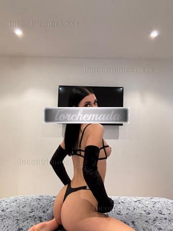 Girl Felina Girl  Busto Arsizio