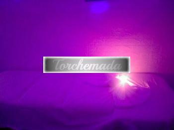 Girl Trasgressiva Coinvolgente  Ravenna