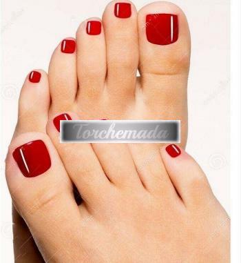 Transex Calda Girl  Firenze