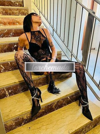 Girl Felina Ragazza  Varese