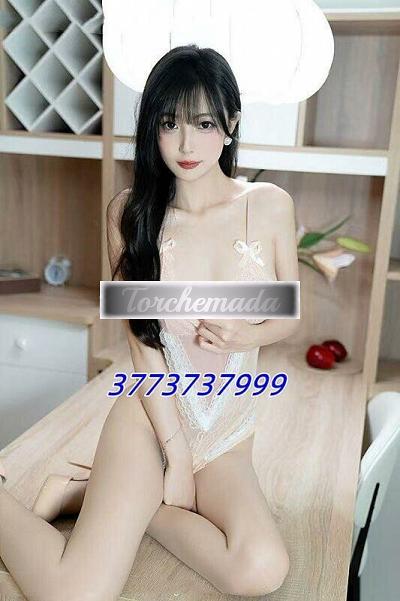 Girl Piacere assoluto  Alessandria