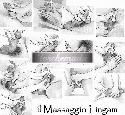 Girl Erika  Massa Carrara