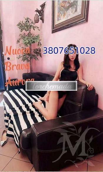 Transex Lucia  Verona
