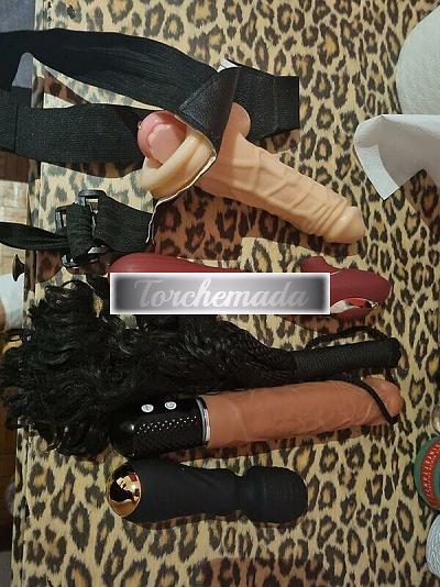 Girl Felina Studentessa  Bologna