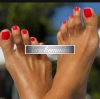 Transex Felina Amabile  Macerata