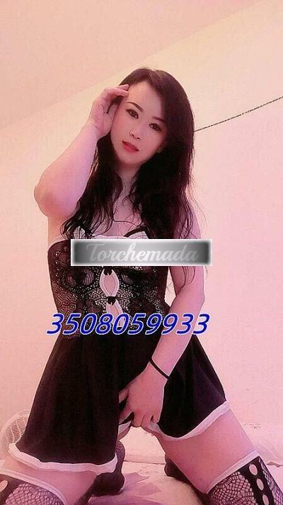 Girl Felina Esibizionista  Ascoli Piceno