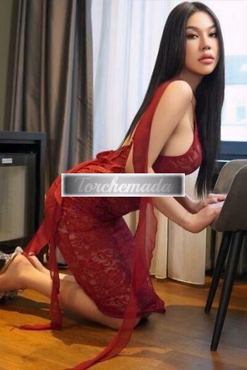 Girl Bellissima Coinvolgente  Reggio Emilia