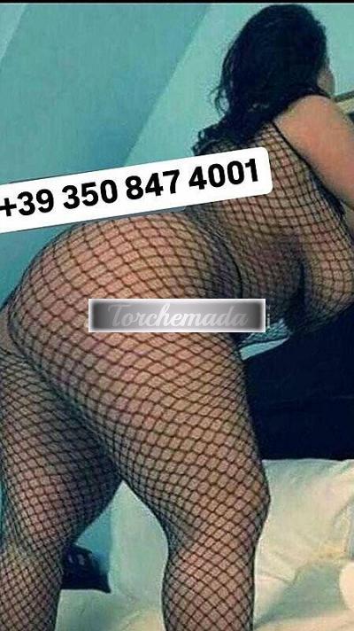 Girl Felina Femmina  Belluno