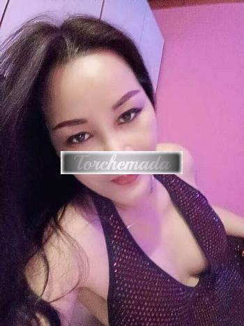 Girl Felina Studentessa  Rovigo