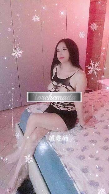 Transex Giovani orientali  Mantova