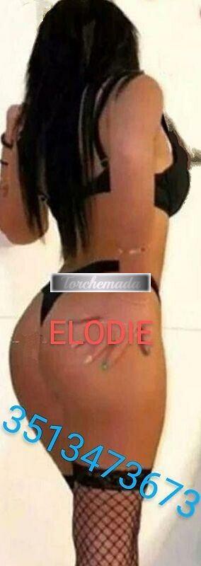 Merda Sexy Sensuale  Pavia