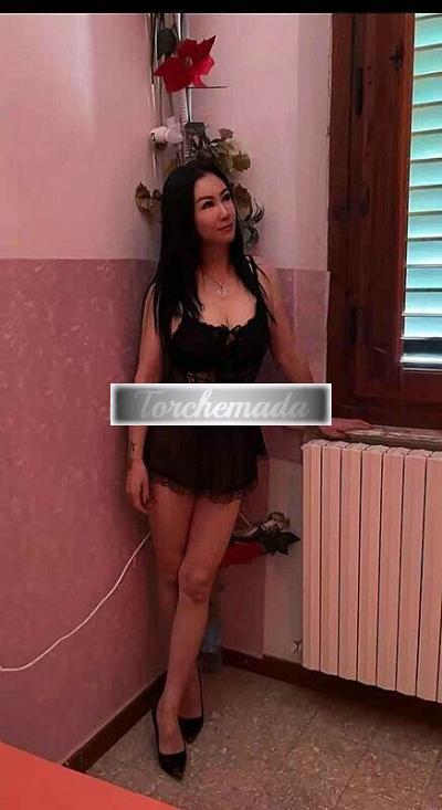 Transex Puoi scoparmi come preferisci  Alessandria