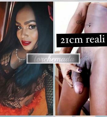 Girl Contessa del Preliminare  Palermo