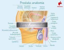 Girl Benigna  Torino