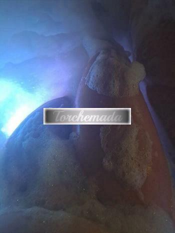 Girl Trasgressiva Amabile  Bergamo