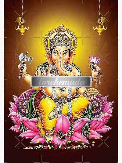 Girl Spettacolare Graziosa  Forli