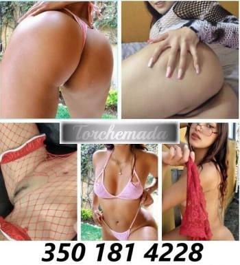 Girl Piccantissima Studentessa  Ancona