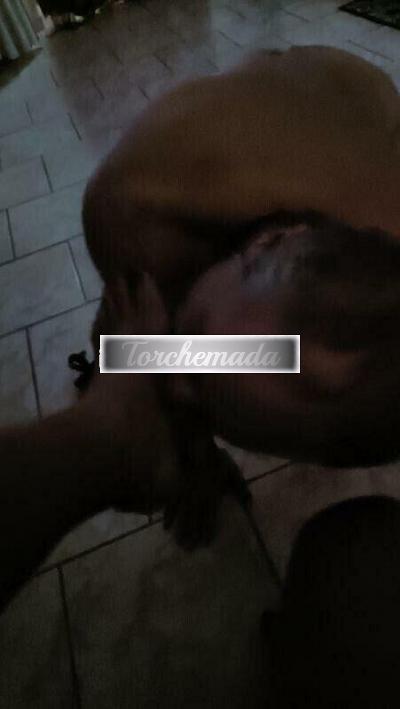 Girl Strapon Feticcio Trasgressivo Sensuale  Catania