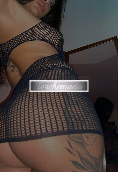 Transex Gioia  Reggio Emilia