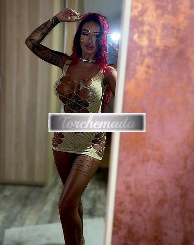 Girl In hotel o a casa tua  Milano