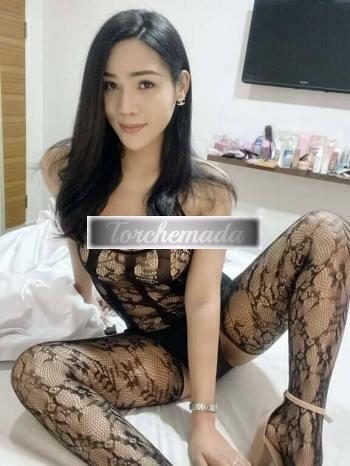 Girl Felina Girl  Lodi