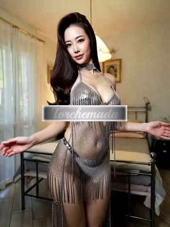 Transex Emilia  Reggio Emilia