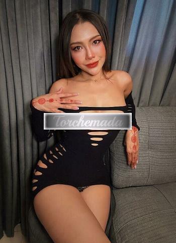 Transex Felina Graziosa  Forli