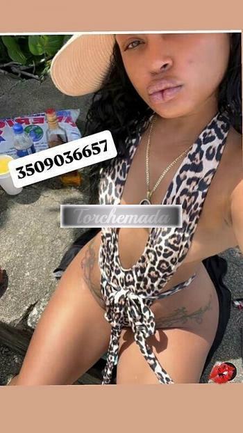 Girl Felina Femmina  Brindisi