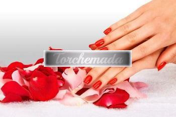 Girl Vogliosa Studentessa  Bologna