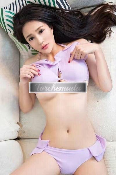 Transex Viola  Bologna
